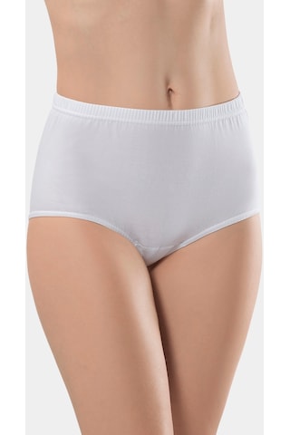 Türen Kadın Mini Bayan Külot 2'li Paket 001