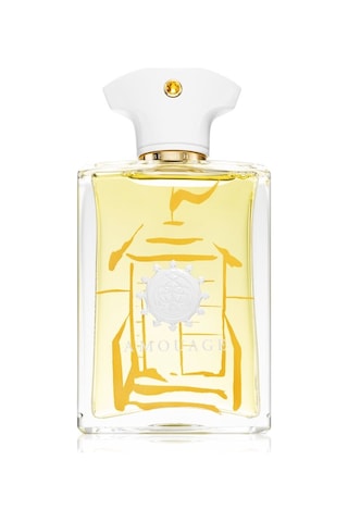 Amouage Beach Hut Erkek Parfüm EDP 100 ML