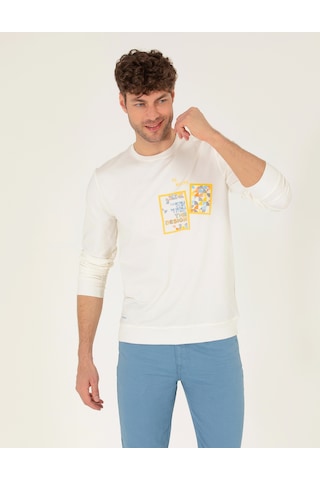 Pierre Cardin Erkek Ekru Sweatshirt 50264212-vr019 Ekru