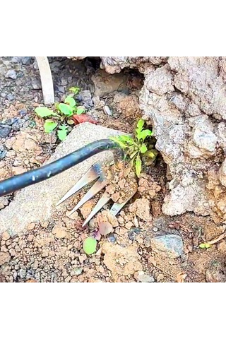 Foxyle Foxyle Weeder, Weed Çekme Aracı, 4 Diş Manganez Çelik Kökün