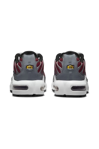 Nike Nıke Aır Max Plus Kadın Ayakkabı Cd0609-602 Çok Renkli