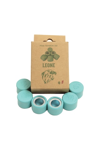 Sym Joyride 300 Leone Performans Bagası 18 Gr + Speedup Kızak Kaydırıcı Set