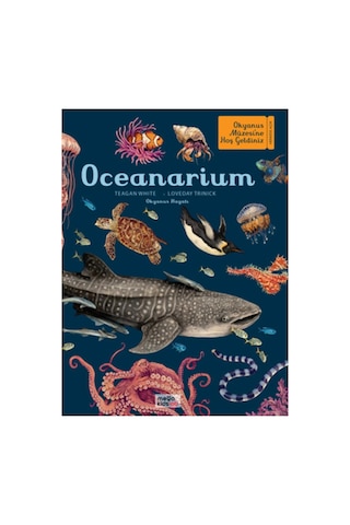 Oceanarium - Okyanus Müzesi Ansiklopedik Çocuk Kitabı