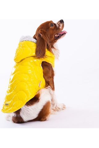 Pawstar Sarı Light Wave Anorak Yelek Köpek Yeleği