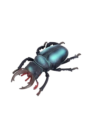 Tenfowee Çocuklar İçin Eğitici Bilgi Verici Böcek Modeli Oyuncak, Fen Ve Doğa Tanıma Hediyesi - Kuvvet Böceği