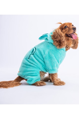 Pawstar Mint Koala Küçük Irk Peluş Köpek Tulumu