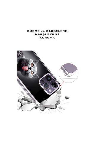 Vivo Y22s Uyumlu Kedi 2 Baskılı Şeffaf Köşe Korumalı Antişok Kılıf