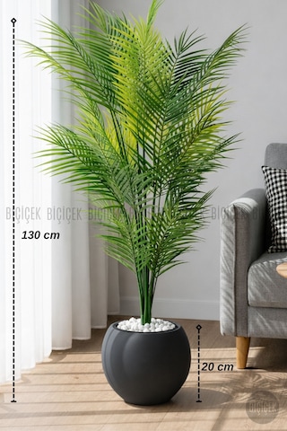 Areka Ağacı 24 Yapraklı 130 Cm Küre Saksıda Antrasit Gri