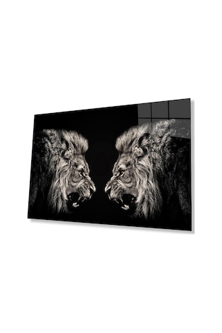 Aslan Cam Tablo 4mm Dayanıklı Temperli Cam21