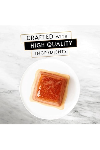 Gourmet Revelations Somon Balıklı Yetişkin Kedi Konservesi 2x57 Gr