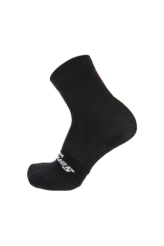 Santini Ucı Rainbow Çorap