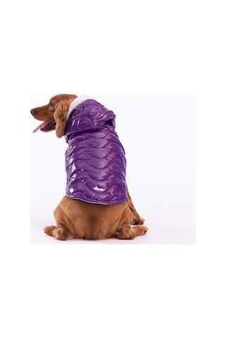 Pawstar Mor Light Wave Anorak Yelek Köpek Yeleği