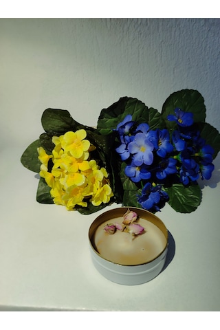 Türk Kahveli Tarçınlı Böcek Savar Kutu Mum