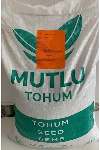 Mutlu Tohum Adi Fiğ Tohumu - Gülhan 25 Kg