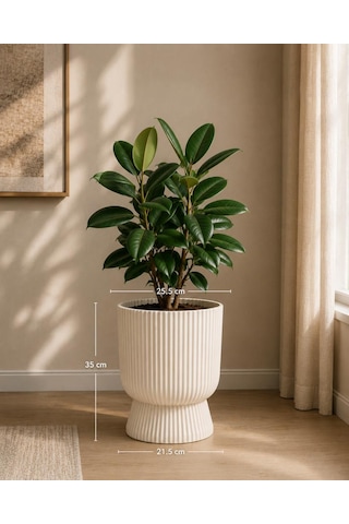 Omnipazar So-ltsa03 Lotus Ayaklı Plastik Vazo Çiçek Saksı 10,5 Litre No: 3 Bej