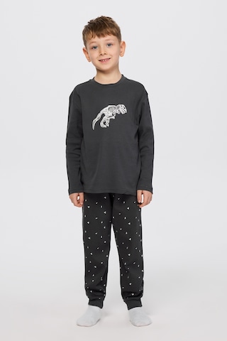 Panço Erkek Çocuk Dinazor Baskılı Pijama Takımı Antrasit