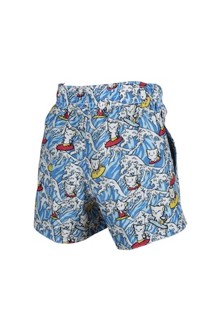 Arena Renkli Erkek Çocuk Yüzücü Mayo Deniz Şortu 004223800 Mavi Beyaz Mavi - Beyaz