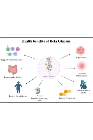 Beta-glucans Beta-1,3/1,6-d-glucan Saccharomyces Cerevisiae With Immunenhancer Arabinogalactan From Larch Tree Larix Occidentalis