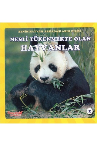 +4 Yaş Benim Hayvan Arkadaşlarım Dizisi 4’Lü Kitap Seti Yumurcak