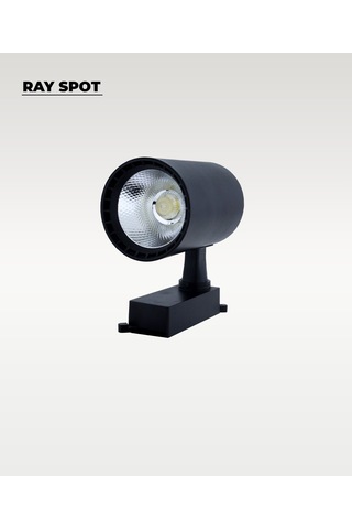 30w Siyah Ray Spot 4000k Gün Işığı Siyah
