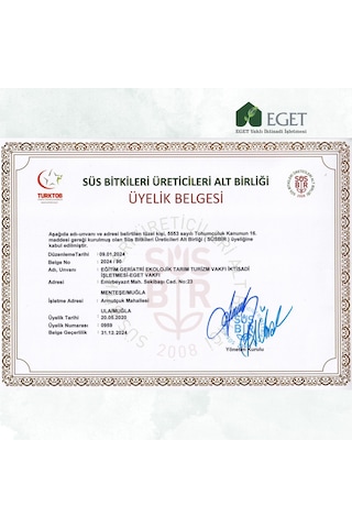 Kalp Kalbe Karşı Çiçeği Ceropegia Woodii - Turuncu Saksılı