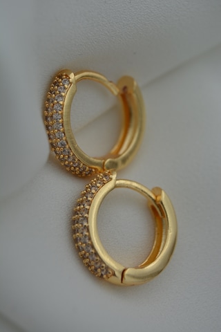 Stoneagejewellery Stoneage Zirkon Taşli Kilitli Küpe N11.88571 Çok Renkli