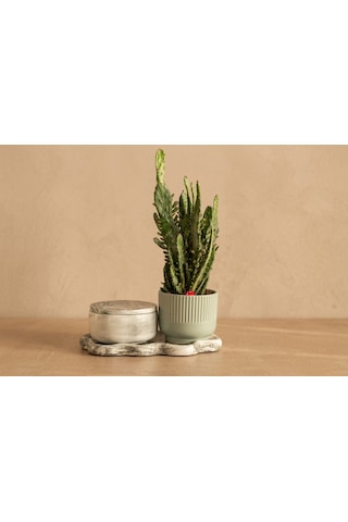 Giselle Mint Ribbed & Opuntia Cactus And Candle Set Mint Yeşili Giselle Mint Ribbed & Opuntia Cactus And Candle Set Mint Yeşili