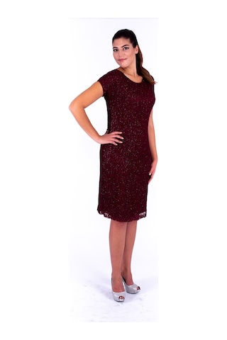 Nidya Moda Büyük Beden Kadın Bordo Dantel Abiye Elbise-4035Yb Bordo