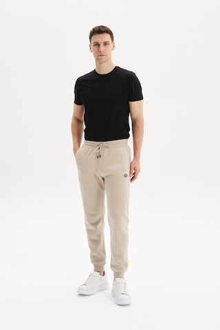 Ar-ma Erkek Regular Fit 3 İplik Kumaş Dar Paça Eşofman Altı Lastikli Bel, Günlük Ve Spor Kombinler İçin %70 Pamuk %30 Polyester K30174681502 Bej-b1 Bej