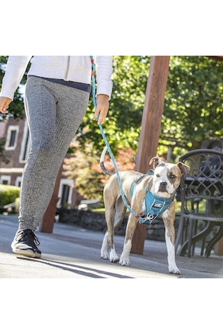 Köpek Koşum Takımı Pet Walking Koşum Takımı No Pull Koşum Ön Klips Fonksiyonu Antrenman İçin Araç Emniy