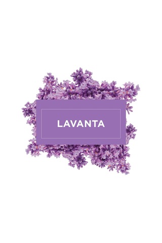 Mr. Muscle Yüzey Temizleyici Lavanta 1 L