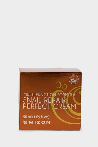 Defacto Mizon Snail Repair Perfect Cream Salyangoz Özlü Nemlendirici Yüz Kremi 50 ml H3448AXNS