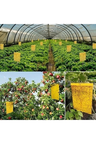 Zyzqstore 100 Adet Güçlü Meyve Sineği Tuzağı, Böcek Sarı Yapışkanlı Farklı Renklerde, 30-100 Adet