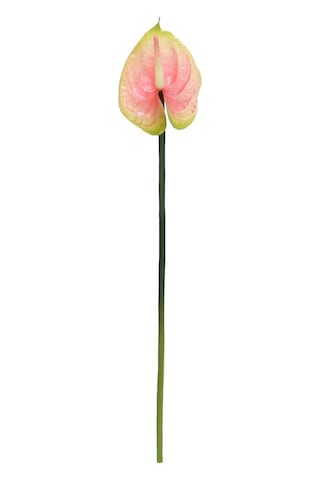 Yapay Antoryum Çiçeği Canlı Dokunuş Pembe 40 Cm-9975
