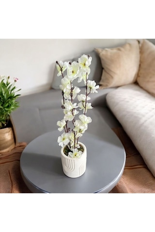 Beton Saksıda Gerçek Taş Yosunlu Yapay Japon Kiraz Çiçeği,saksı ,aranjman , Ev Dekorasyon,