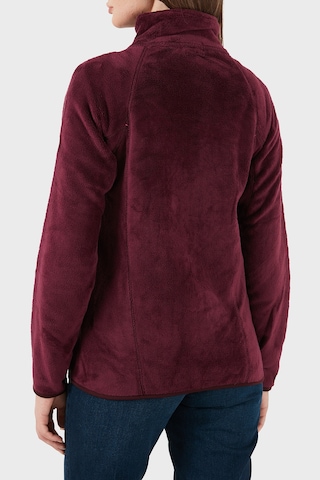 Norway Geographical Bayan Polar Upalıneb Mor Mor