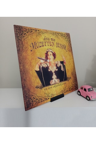 Dekoratif Plak Standı, Vinyl Stand