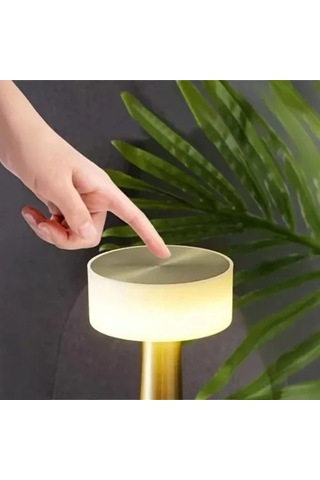 Dekoratif Led Masa Lambası Diğer 88615719