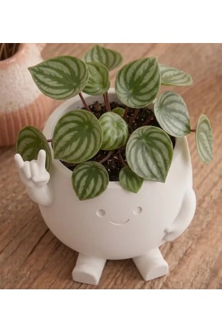 Vaveni 3d Baskı Smiley Face Planter - Gülümseyen Karakterli Saksı-beyaz Arz