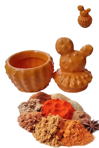 Kaktüs Model Baharatlık - Sunumluk Turuncu