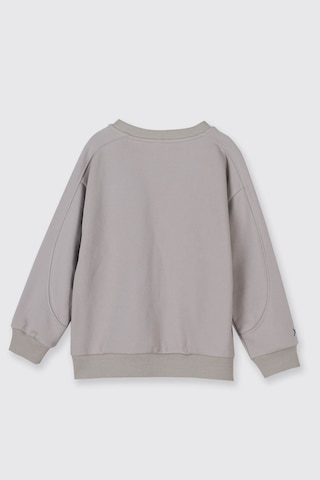 Panço Baskı Detaylı Taş Erkek Çocuk Sweatshirt 2521bb08007 Taş