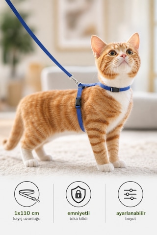 Kiwi Kpcl-10320c Kedi Göğüs Tasması Ve Gezdirme Seti