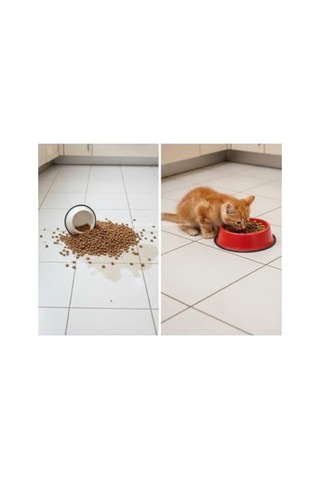 Busstier Kedi Köpek Metal Mama Ve Su Kabı Renkli, Kaymaz Ve Dayanıklı Tasarım Pembe, 22 Cm