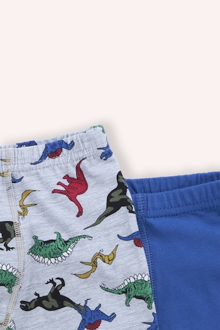 Panço Erkek Çocuk Dinozor Desenli 3'lü Boxer Renkli