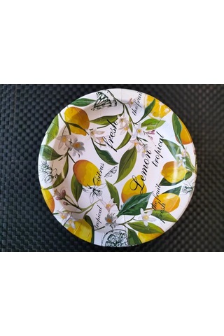 Tverskie Tarelki Tek Kullanımlık Kağıt Tabaklar 255653910 100 adet