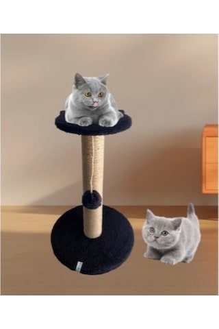 Reyo Pet Stepli Kedi Tırmalama Tahtası Siyah