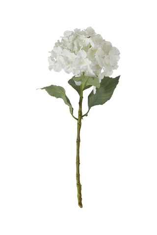 Concept Single Ortanca Çiçek Beyaz 54cm