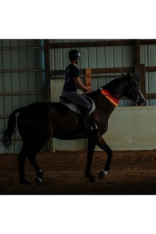 Willowhaven Pembe Led At Yakası Gece Binicilik Güvenlik Ekipmanı Ayarlanabilir Pembe