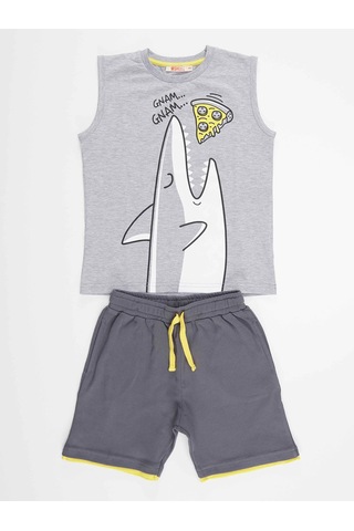 Denokids Mshb&g Pizzacı Köpekbalığı Erkek Çocuk T-shirt Şort Takım Çok Renkli