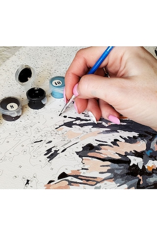 Sayılarla Boyama Seti - Noel Heyacanı